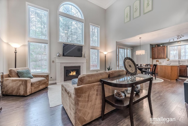 living room with crown molding, dark wood-type flooring, sink, and a high ceiling