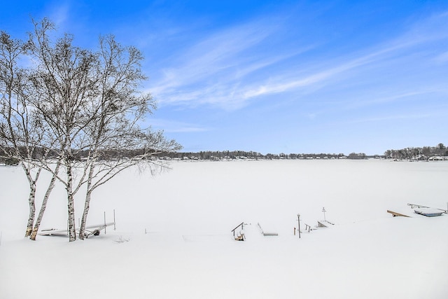 view of yard layered in snow