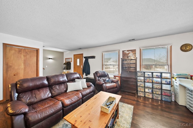 living room featuring dark hardwood / wood-style flooring and a textured ceiling