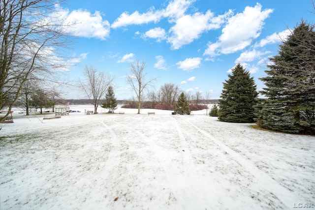 view of yard covered in snow