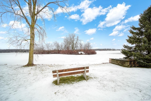 view of yard covered in snow