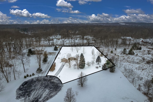 view of snowy aerial view