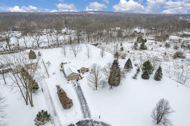 view of snowy aerial view