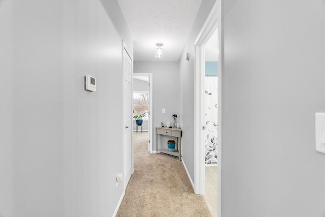 hallway featuring light colored carpet and a textured ceiling