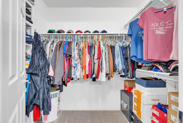 walk in closet featuring carpet