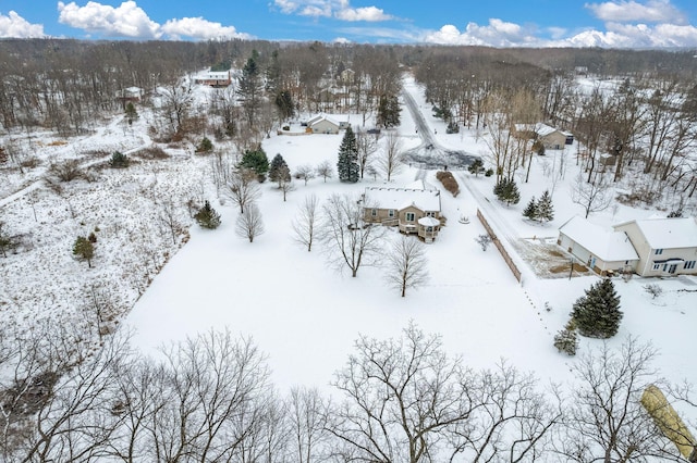 view of snowy aerial view