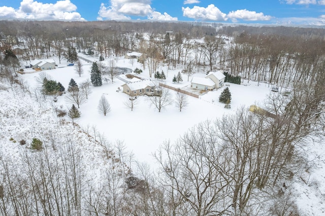 view of snowy aerial view