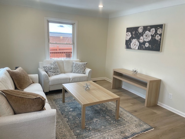 living room with wood-type flooring