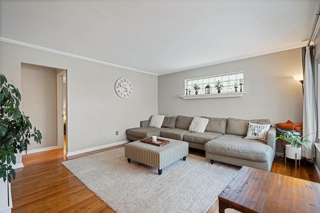 living room with crown molding and dark hardwood / wood-style floors