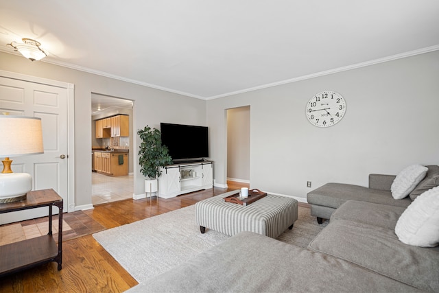 living room featuring wood-type flooring and crown molding