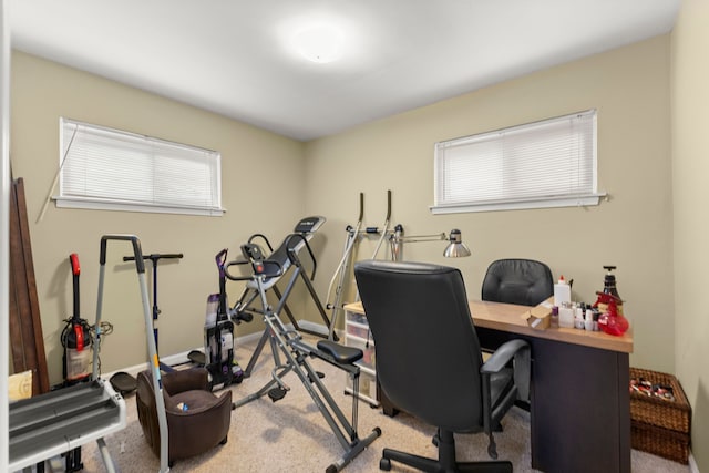 exercise room featuring carpet floors