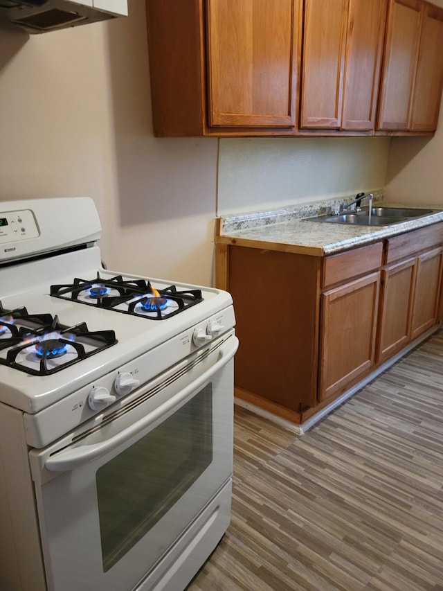 kitchen with sink, ventilation hood, hardwood / wood-style floors, and white range with gas stovetop