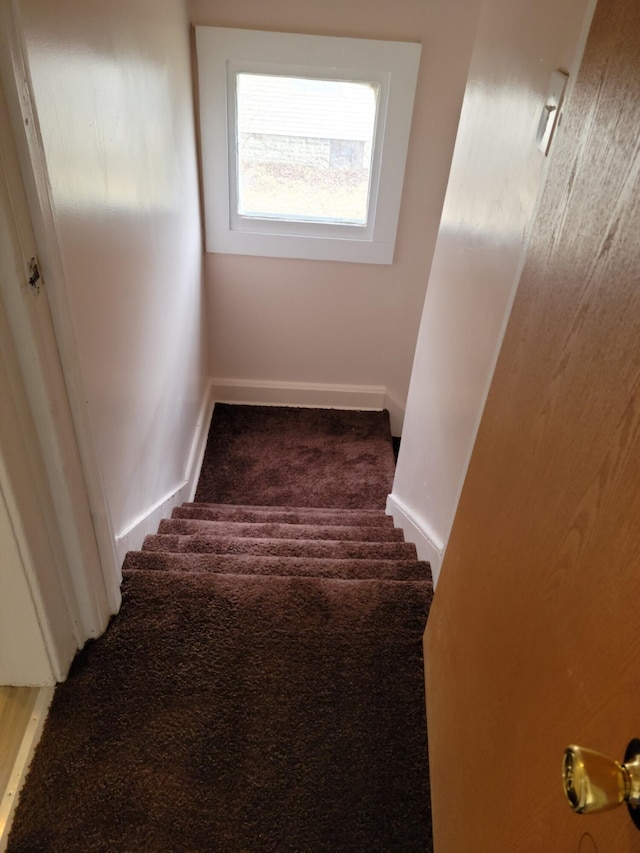 stairs featuring carpet flooring