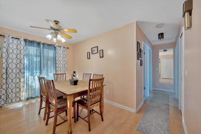 dining room with ceiling fan and light hardwood / wood-style floors