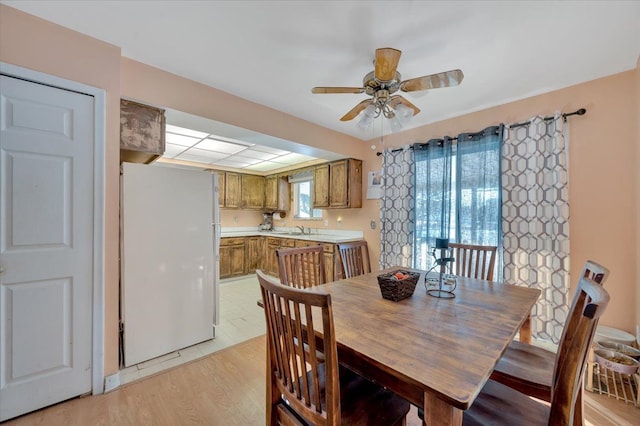 dining room featuring ceiling fan, light hardwood / wood-style flooring, and sink