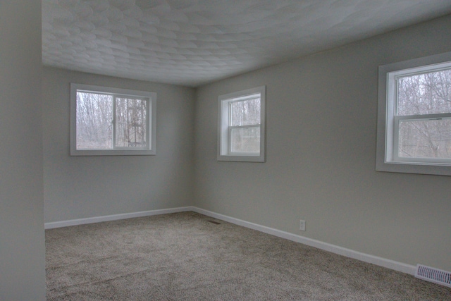 unfurnished room featuring plenty of natural light and light colored carpet