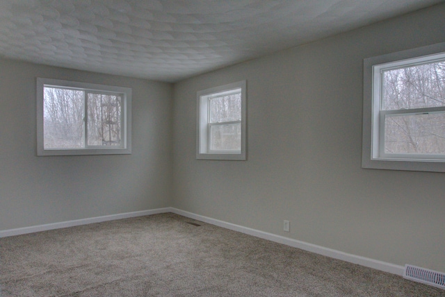 carpeted empty room featuring a wealth of natural light