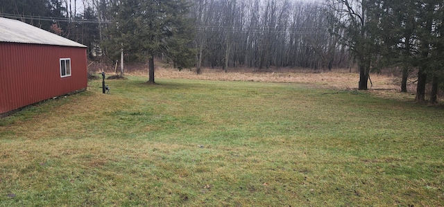 view of yard featuring an outdoor structure