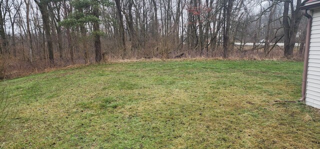 7981 W Main St, Kalamazoo, MI 49009 - view of yard