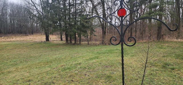 7981 W Main St, Kalamazoo, MI 49009 - view of yard