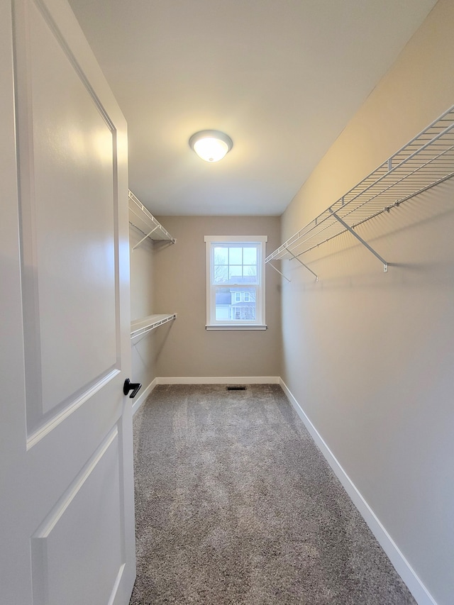 spacious closet with carpet flooring