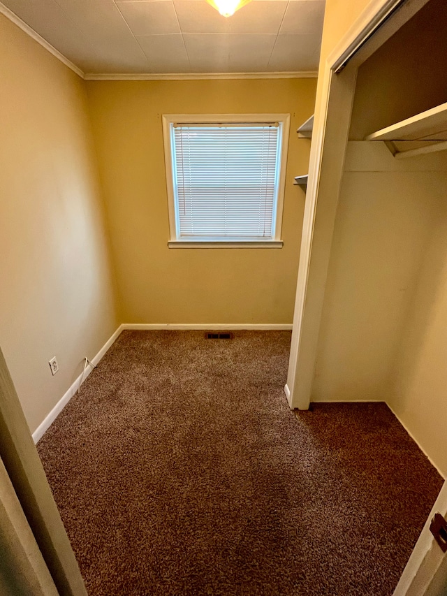 spacious closet featuring carpet floors