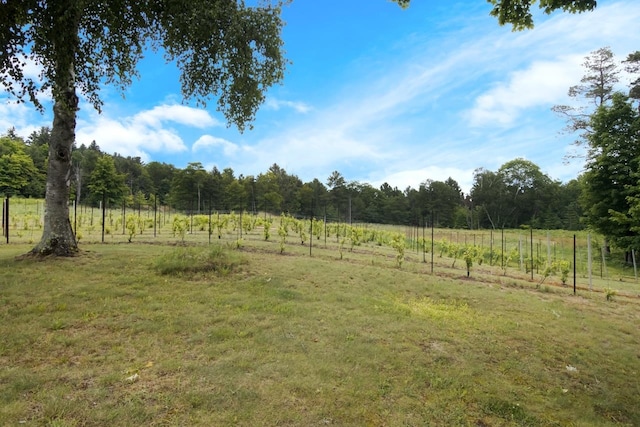 12202 E Woolsey Lake Rd, Northport, MI 49670 - photo 60
