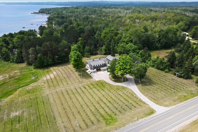 12202 E Woolsey Lake Rd, Northport, MI 49670 - photo 5