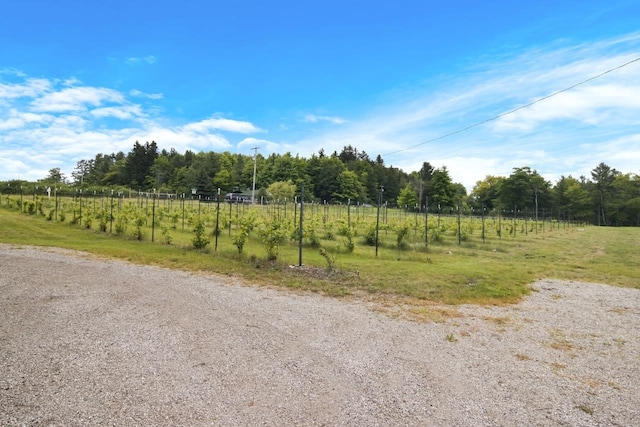 12202 E Woolsey Lake Rd, Northport, MI 49670 - photo 61