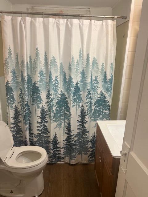 bathroom with wood finished floors, toilet, vanity, and curtained shower