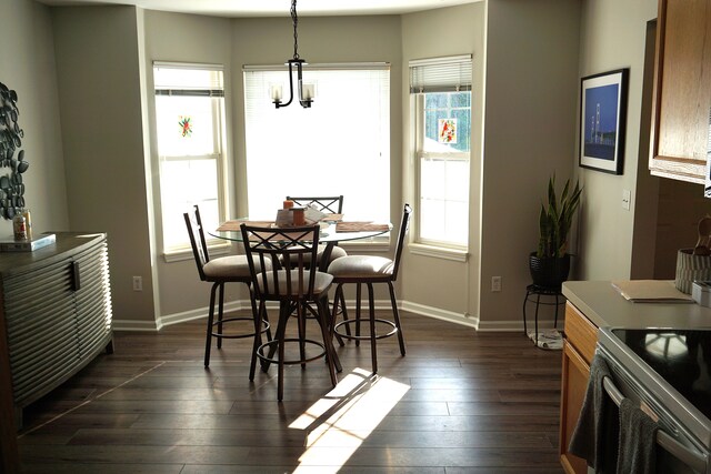 dining room featuring baseboards, plenty of natural light, and dark wood finished floors