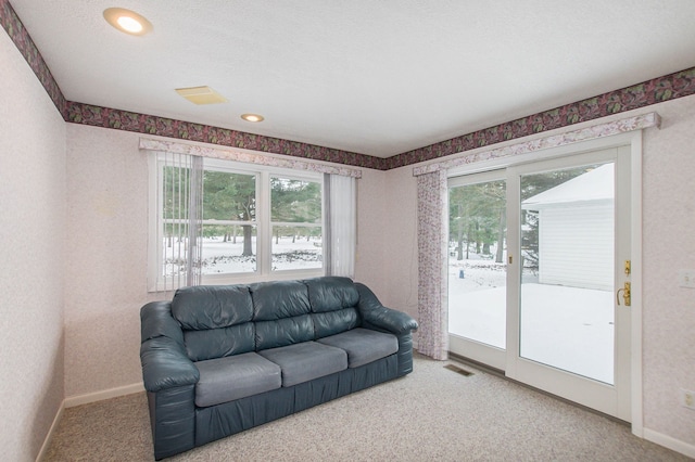 carpeted living room featuring a wealth of natural light