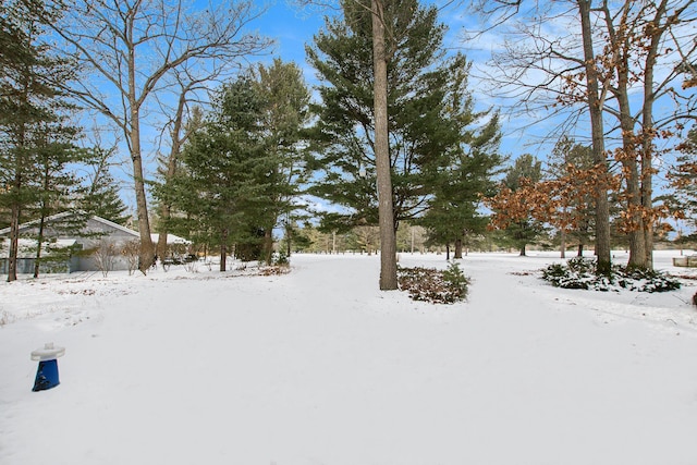 view of yard layered in snow