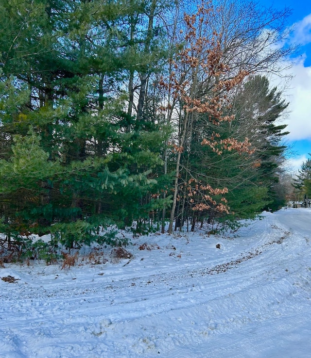 view of yard covered in snow