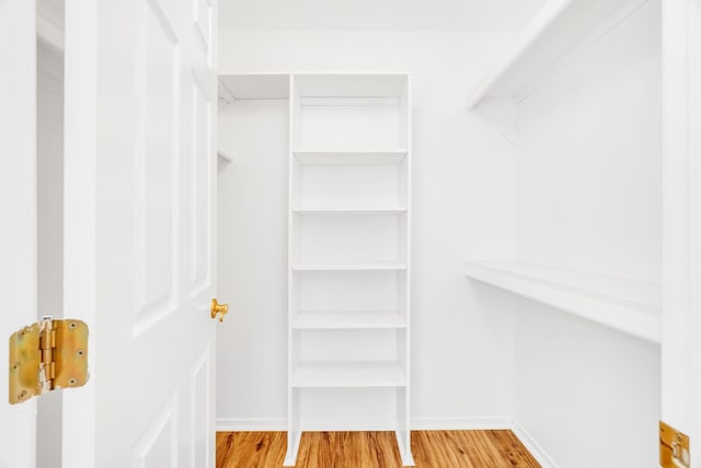 spacious closet featuring wood-type flooring