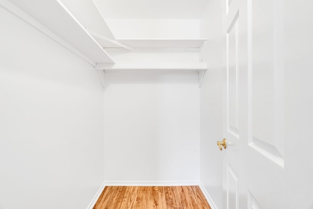 walk in closet featuring wood-type flooring