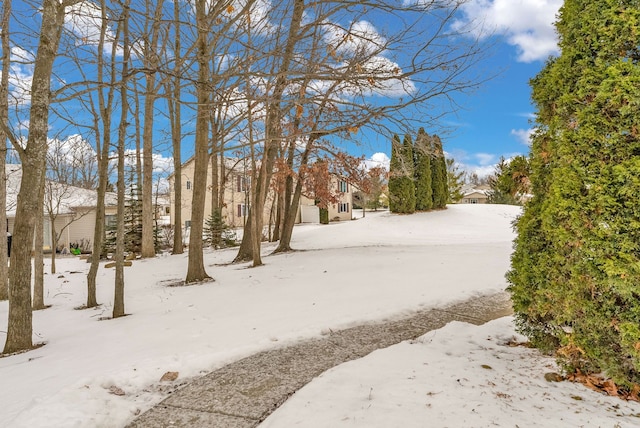 view of yard layered in snow