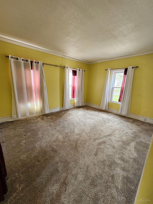 1454 Vermont St, Saginaw, MI 48602 - spare room with a wealth of natural light, carpet, a textured ceiling, and crown molding