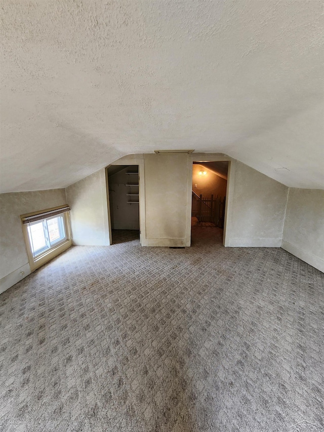 1454 Vermont St, Saginaw, MI 48602 - additional living space with lofted ceiling, a textured ceiling, and carpet floors