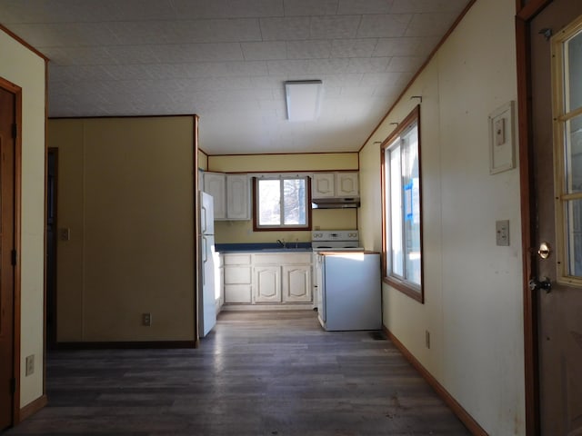 kitchen featuring crown molding, dark hardwood / wood-style flooring, sink, and white appliances