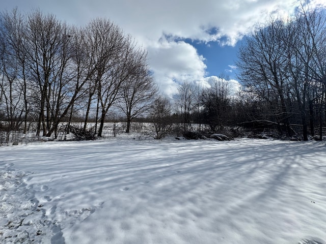 view of snowy yard