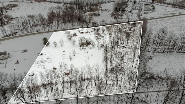 view of snowy aerial view