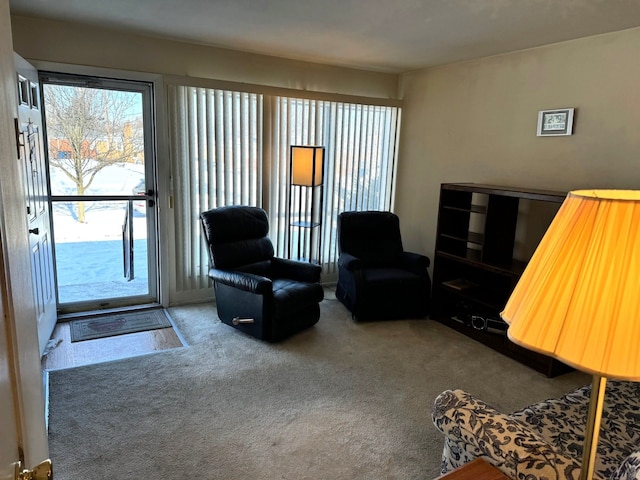 living room featuring carpet floors