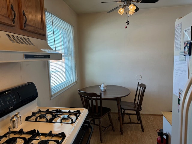 dining room with ceiling fan and light hardwood / wood-style flooring