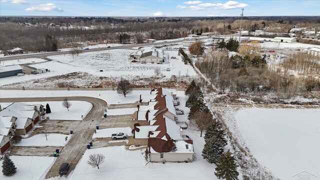 view of snowy aerial view