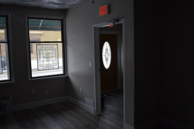 foyer entrance with dark wood-type flooring and plenty of natural light