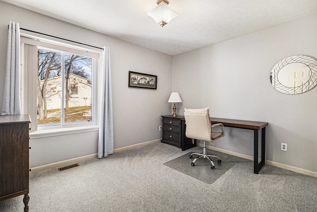 home office with carpet floors