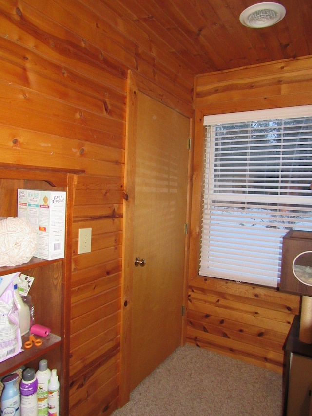 interior space featuring wood walls and carpet flooring