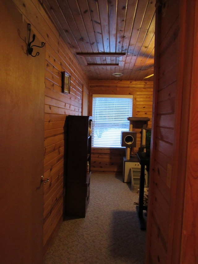 hallway featuring carpet flooring, wood ceiling, and wooden walls