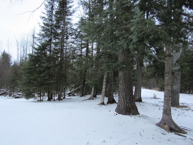 view of snowy view